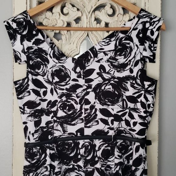 3 for $25 Adrianna Papell Dress Size 6 - Picture 6 of 7